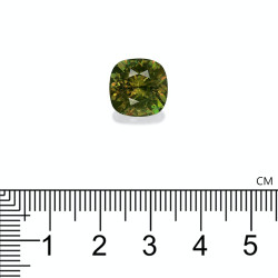 Diamantvormige Granaat Kussenmaat Bosgroen 8.19 karaat