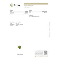 Ronde Démantoide Granaat Forest Green 3.51 karaat