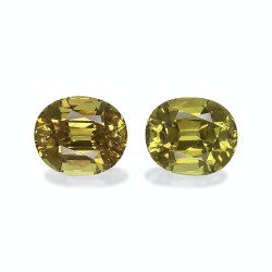 石榴石 taille 椭圆形 青柠绿 6.28 carats