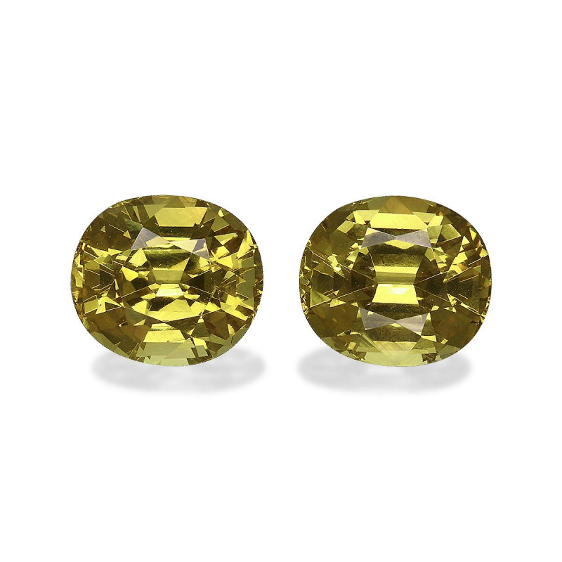 Grenat Grossulaire taille OVALE Golden Yellow 6.91 carats