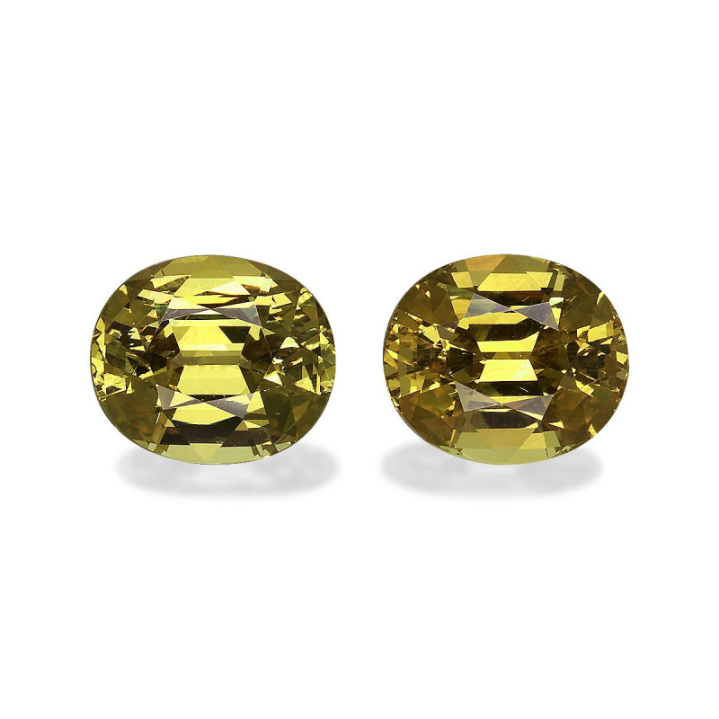 Grenat Grossulaire taille OVALE Golden Yellow 6.58 carats
