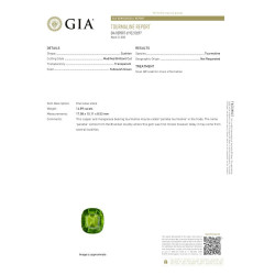 Kussen geslepen Lime Green Paraiba Toermalijn van 14,89 karaat