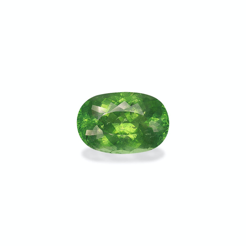 OVAL-cut Paraiba Tourmaline Green 20.53 carats