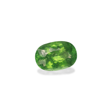 Turmalina Paraiba taille OVALE Verde 20.53 carats