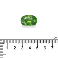 Tourmaline Paraiba lengte OVAL Gr&uuml;n 20.53 karaten