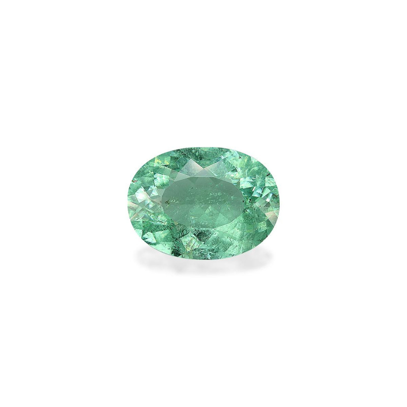 Tourmaline Paraiba taille OVALE 绿色 14.11 carats