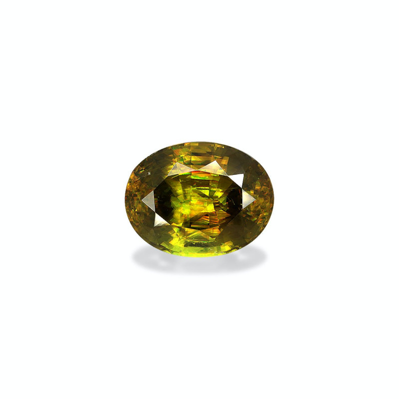 钛鈦矿 taille 椭圆形 绿色 12.55 carats