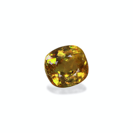 Esfena taille COUSSIN Golden Yellow 33.57 carats