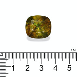 Sphene kussen geslepen Forest Green 19.95 karaat