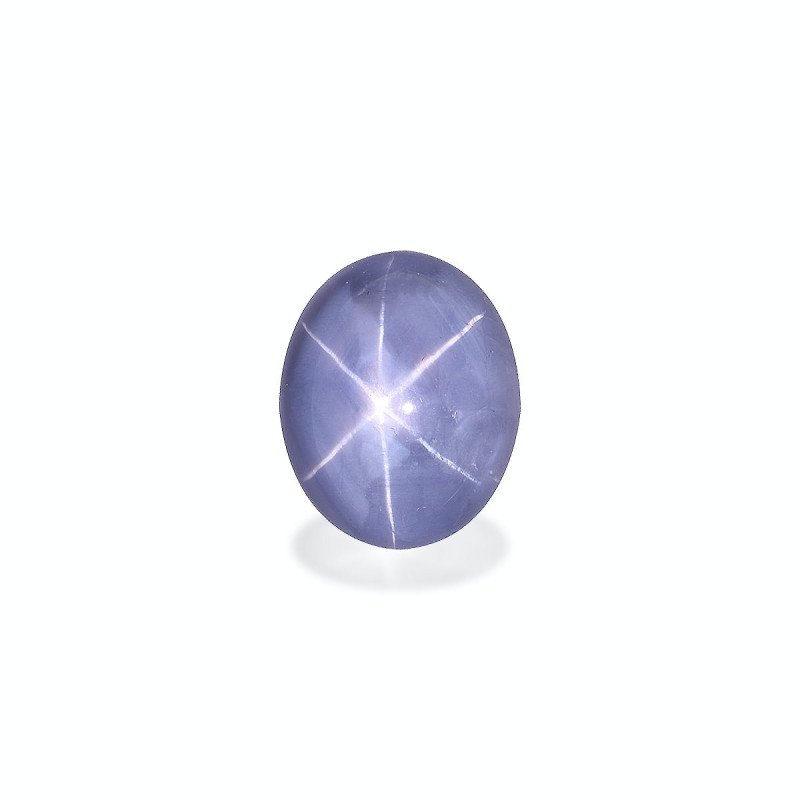 Saphir étoilé gris taille OVALE 灰色 20.13 carats