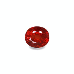 spessartite الحجم بيضاوي 15.36 