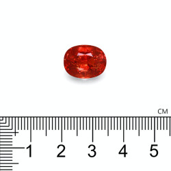 spessartite الحجم بيضاوي 10.73 