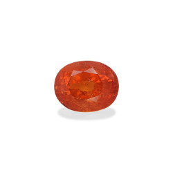 spessartite الحجم بيضاوي...