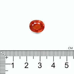 spessartite الحجم بيضاوي 7.01 