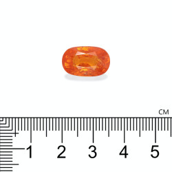 spessartite الحجم بيضاوي البرتقالي 10.65 