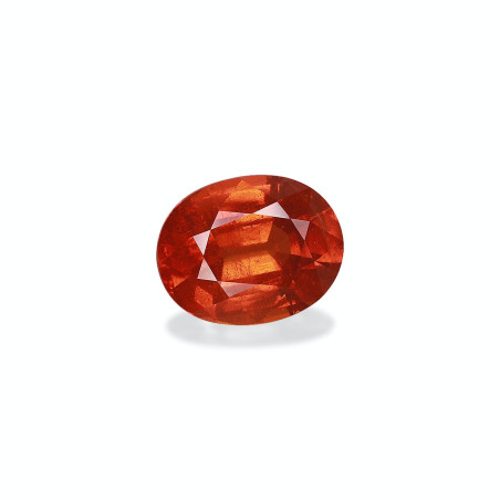 OVAL-cut spessartite Orange 15.94 carats
