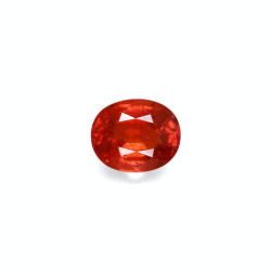 spessartite الحجم بيضاوي...
