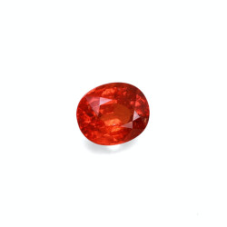 spessartite الحجم بيضاوي 9.80 
