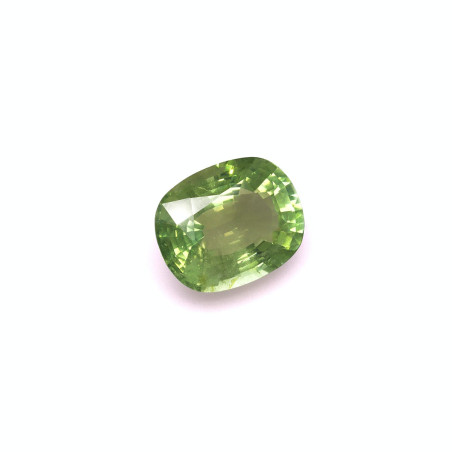 CUSHION-cut Green Tourmaline Pistachio Green 15.14 carats