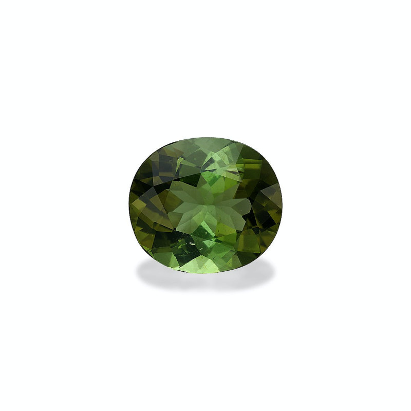 CUSHION-cut Green Tourmaline Moss Green 9.38 carats