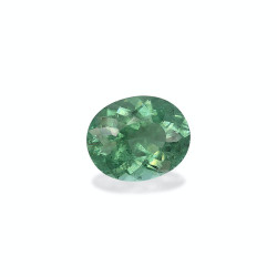 Ovale geslepen zeegroene toermalijn van 6,66 karaat
