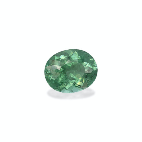 OVAL-cut Green Tourmaline Seafoam Green 6.66 carats