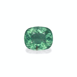 Tourmaline Paraiba taille...