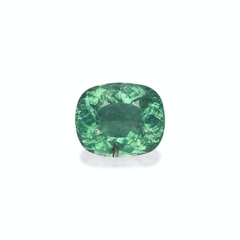 CUSHION-cut Paraiba Tourmaline Green 22.27 carats