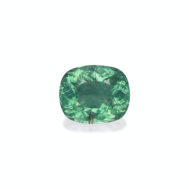 帕拉伊巴电气石 taille 靠垫 绿色 22.27 carats