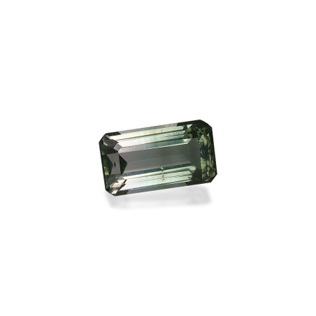 RECTANGULAR-cut Grey Tourmaline Grey 5.32 carats
