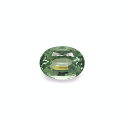 绿色电气石 taille 椭圆形  22.76 carats