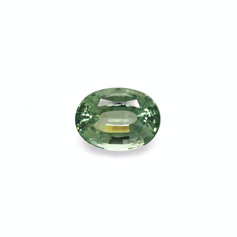 绿色电气石 taille 椭圆形  22.76 carats