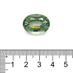 Ovale geslepen groene toermalijn van 22,76 karaat