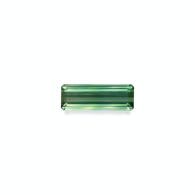 RECTANGULAR-cut Green Tourmaline Green 55.36 carats
