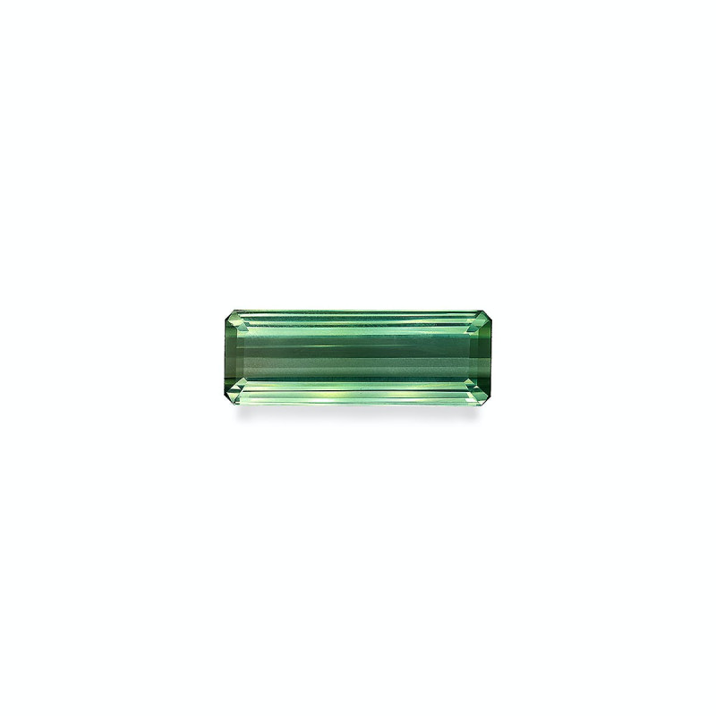 绿色电气石 taille 靠垫 苔藓绿 23.30 carats