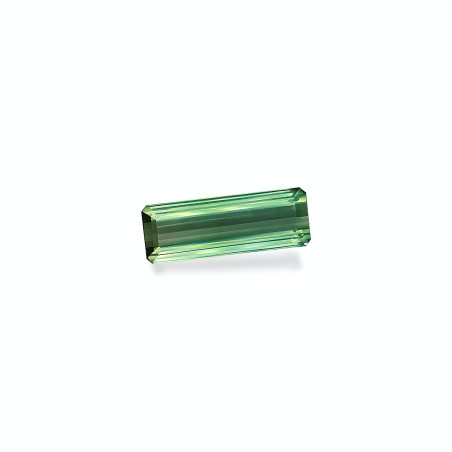 CUSHION-cut Green Tourmaline Moss Green 23.30 carats
