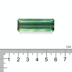 Groene Toermalijn rechthoekige snit Groen 55,36 karaat