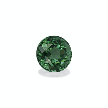 Turmalina Verde taille MIX Verde 12.92 carats