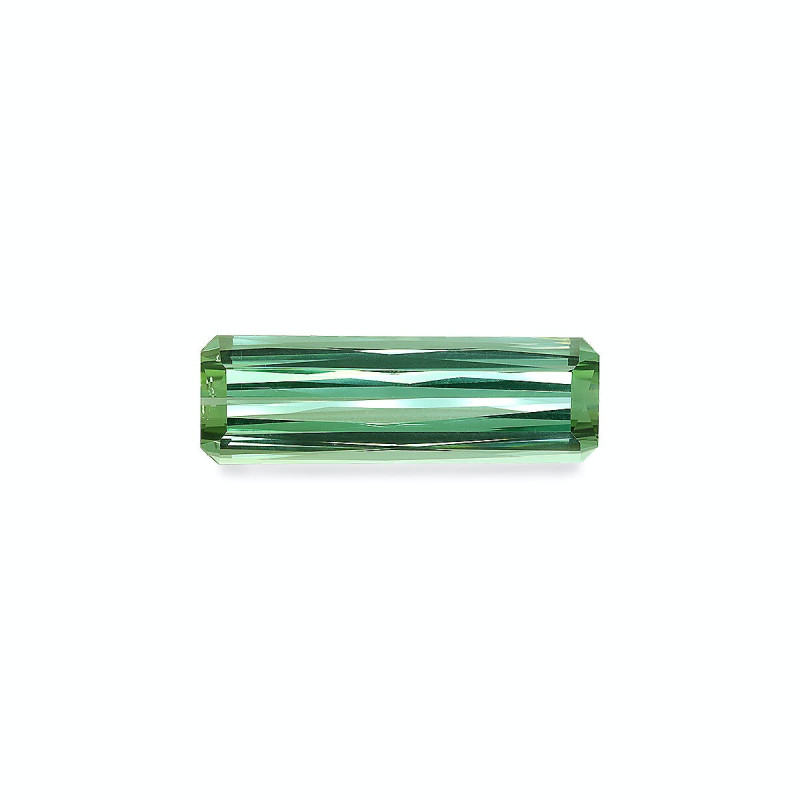 绿色电气石 taille 矩形的 棉花绿 24.43 carats