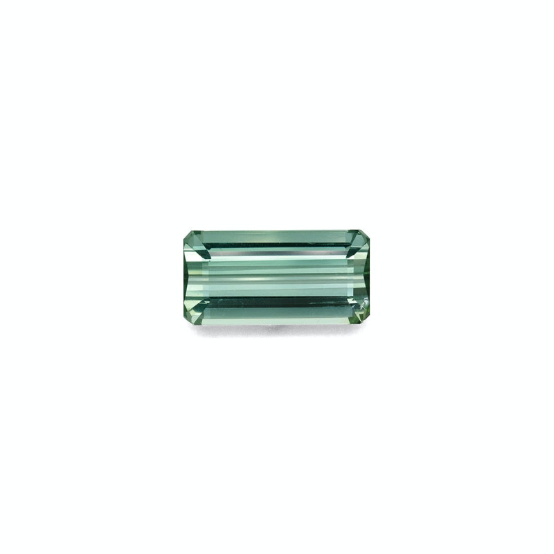 绿色电气石 taille 矩形的 海沫绿 12.78 carats