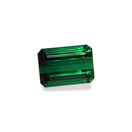 RECTANGULAR-cut Green Tourmaline Green 59.71 carats