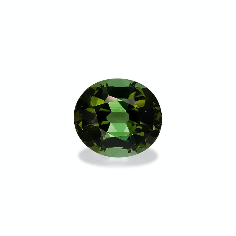 Tourmaline Verte taille OVALE Forest Green 18.49 carats