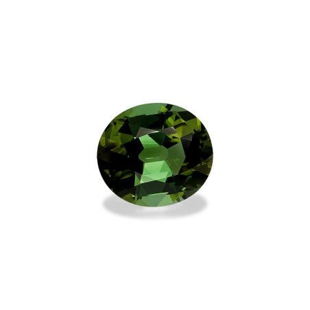 Tourmaline Verte taille OVALE Forest Green 15.91 carats