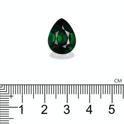 tsavorite الحجم كُمَّثرَى باسل جرين 2.37 