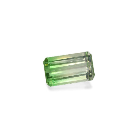 RECTANGULAR-cut tsavorite Lime Green 3.24 carats