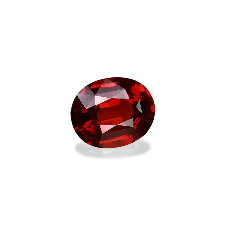OVAL-cut spessartite Scarlet Red 15.78 carats