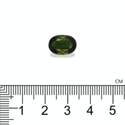 Tourmaline Chrom&eacute;e taille OVALE Vert 4.15 carats