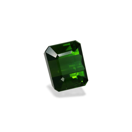 RECTANGULAR-cut Chrome Tourmaline Basil Green 6.16 carats