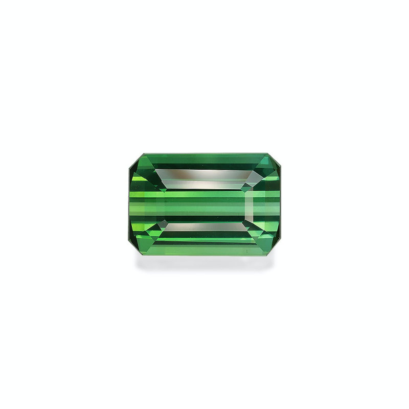 RECTANGULAR-cut Green Tourmaline Green 13.01 carats
