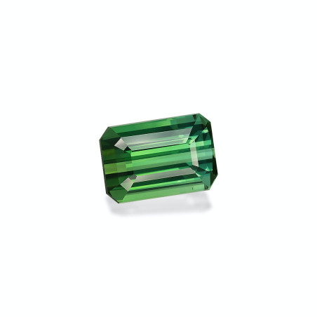 Turmalina Verde taille RECTANGULARE Verde 13.01 carats
